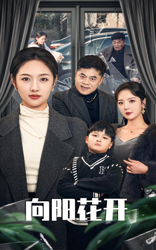 溺爱的代价 向阳花开第01-20集