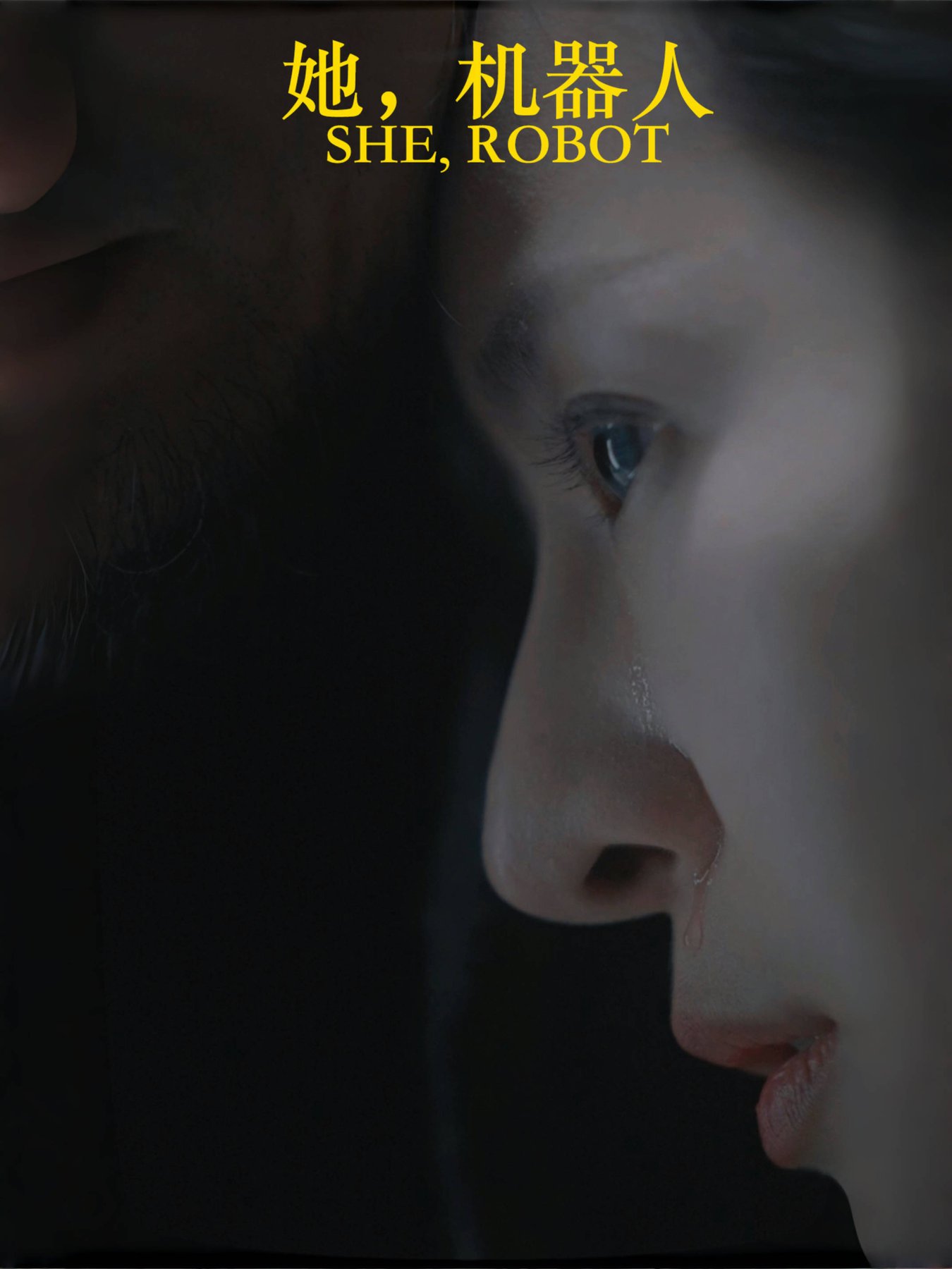 她，机器人第01-23集(大结局)